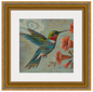 Humming Bird
